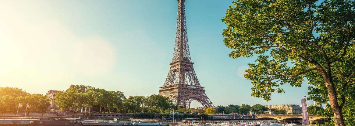 The Jardin des Serres d'Auteuil; exotic plant life flourishing in Paris