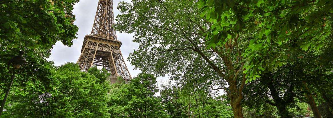 A green break in the heart of Paris