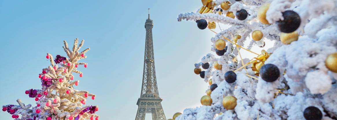 Christmas in Paris; live the dream