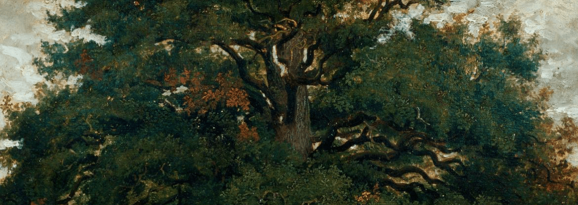 Théodore Rousseau, la voix de la forêt